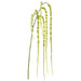 58" Hanging Artificial Amaranthus Flower Stem -Green (pack of 12) - FSA058-GR