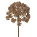 11" Artificial Angelica Flower Stem -Brown (Pack of 12) - FSA061-BR