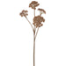 51" Garden Angelica Artificial Flower Stem -Brown (pack of 4) - FSA064-BR