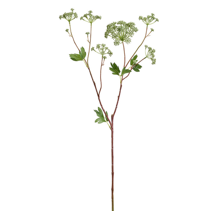 34" Angelica Artificial Flower Stem -Green (Pack of 12) - FSA109-GR