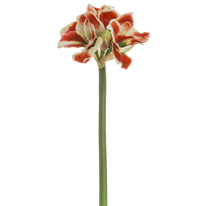 27" Silk Amaryllis Flower Stem -Red (pack of 6) - FSA113-RE