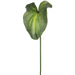 33.5" Real Touch Anthurium Flower Stem -Green (pack of 12) - FSA139-GR