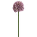 17.5" Allium Silk Flower Stem -Lavender (pack of 24) - FSA141-LV