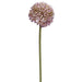 17.5" Allium Silk Flower Stem -Purple/Green (pack of 24) - FSA141-PU/GR