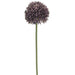 17.5" Allium Silk Flower Stem -Violet (Pack of 24) - FSA141-VI