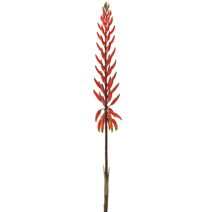28" Artificial Agave Flower Stem -Red (pack of 12) - FSA175-RE