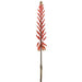 28" Artificial Agave Flower Stem -Red (pack of 12) - FSA175-RE