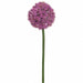 60" Allium Silk Flower Stem -Boysenberry (Pack of 6) - FSA180-BB