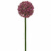 60" Allium Silk Flower Stem -Fuchsia (Pack of 6) - FSA180-FU