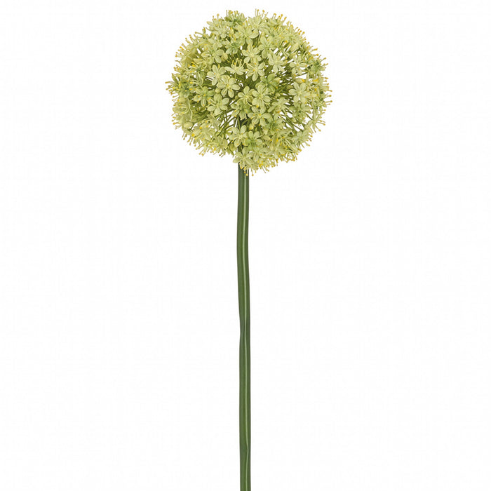 60" Allium Silk Flower Stem -Green (Pack of 6) - FSA180-GR