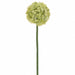60" Allium Silk Flower Stem -Green (Pack of 6) - FSA180-GR
