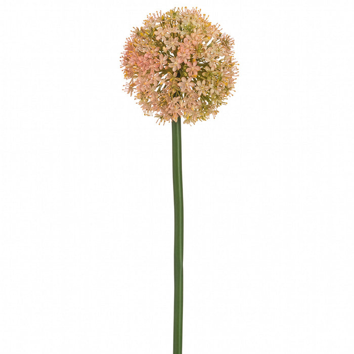 60" Allium Silk Flower Stem -Pink/Green (Pack of 6) - FSA180-PK/GR