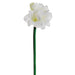 28.5" Silk Amaryllis Flower Stem -White (pack of 6) - FSA222-WH