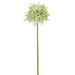 26" Silk Allium Flower Stem -Cream (pack of 12) - FSA240-CR