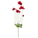 29" Silk Wild Anemone Flower Stem -Red (pack of 12) - FSA300-RE