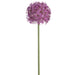 52" Allium Silk Flower Stem -Violet (Pack of 6) - FSA317-VI