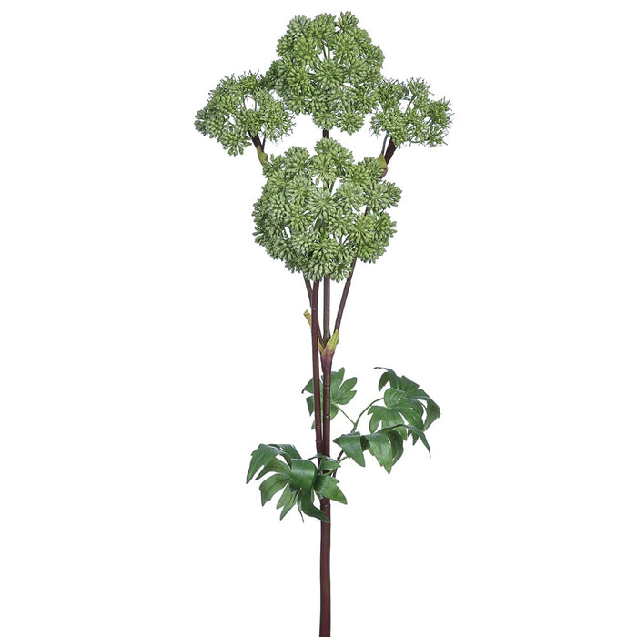 31" Artificial Garden Angelica Flower Stem -Green (Pack of 4) - FSA341-GR