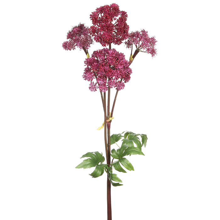 31" Artificial Garden Angelica Flower Stem -Purple (Pack of 4) - FSA341-PU