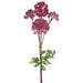 31" Artificial Garden Angelica Flower Stem -Purple (Pack of 4) - FSA341-PU