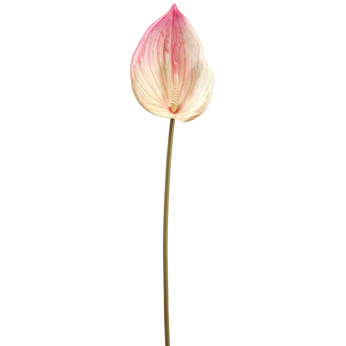 26.25" Silk Anthurium Flower Stem -Pink (pack of 24) - FSA366-PK