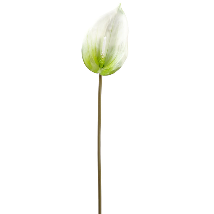 artificial anthurium stems 26.25" Silk Anthurium Flower Stem -White/Green (Pack of 24)