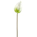 26.25" Silk Anthurium Flower Stem -White/Green (pack of 24) - FSA366-WH/GR