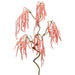 36" Artificial Amaranthus Flower Stem -Pink (pack of 12) - FSA402-PK