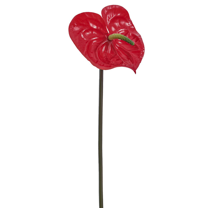 6 anthurium 6" Anthurium Silk Flower Stem -Red (Pack of 12)