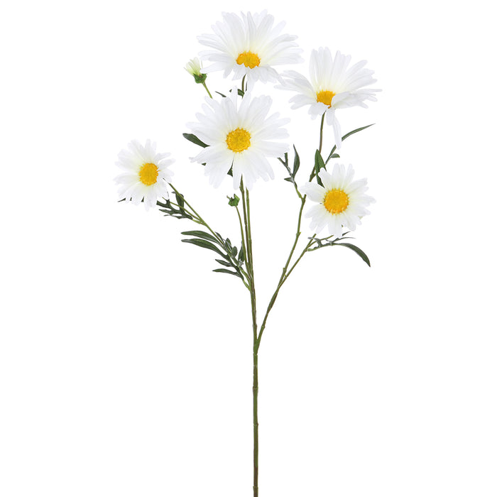28" Silk Aster Daisy Flower Stem -White (pack of 12) - FSA479-WH