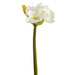 26" Silk Amaryllis Flower Stem -White (pack of 12) - FSA510-WH