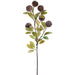 34" Allium Silk Flower Stem -Brown (Pack of 6) - FSA525-BR