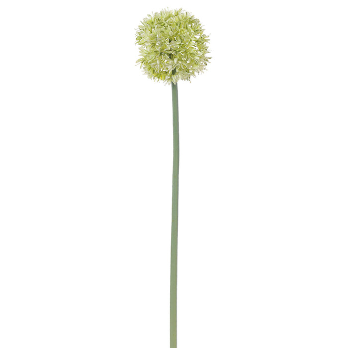 23" Allium Silk Flower Stem -Green (Pack of 12) - FSA549-GR