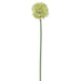 23" Allium Silk Flower Stem -Green (Pack of 12) - FSA549-GR