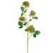 29" Allium Silk Flower Stem -Green (pack of 12) - FSA563-GR