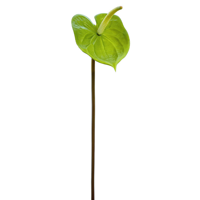 anthurium silk plant 21" Anthurium Silk Flower Stem -Green (Pack of 12)