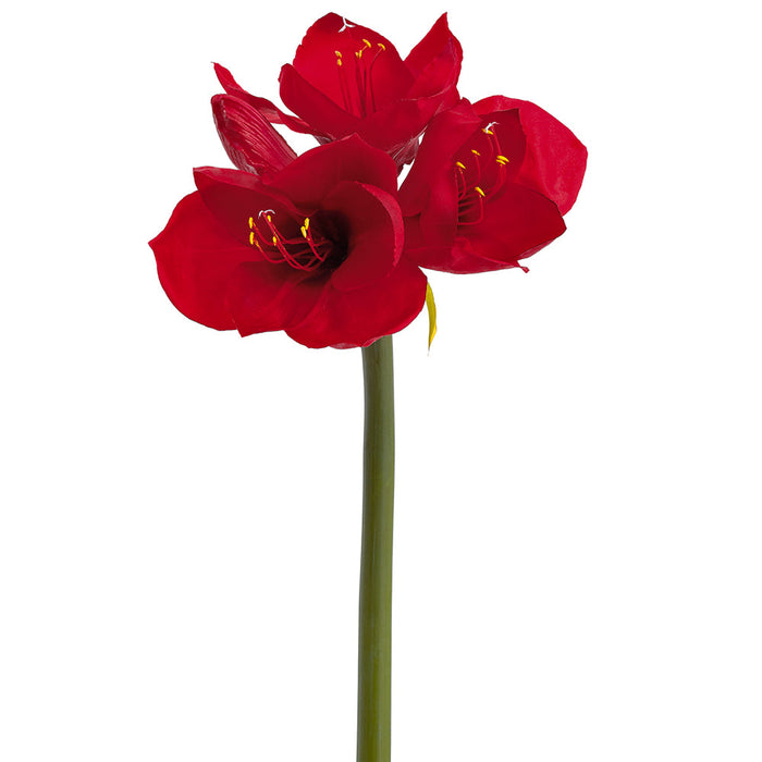 26" Real Touch Amaryllis Silk Flower Stem -Red (Pack of 12) - FSA623-RE