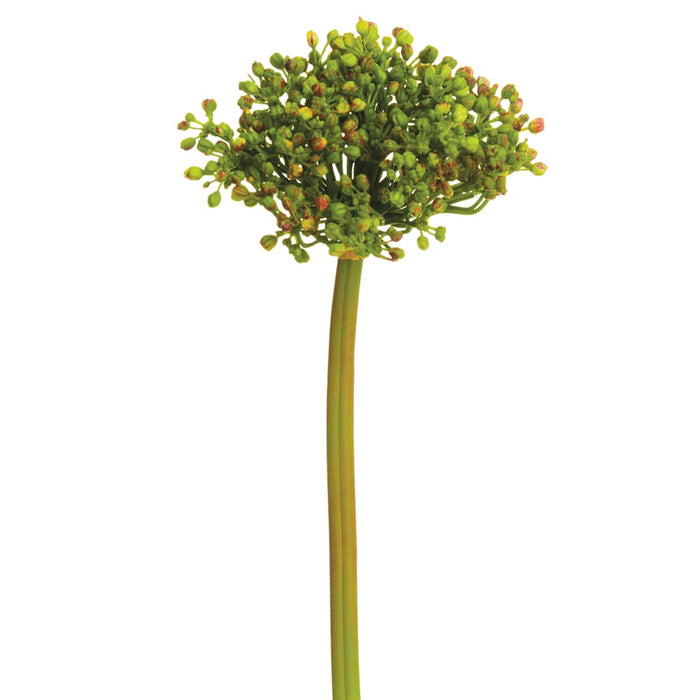 12" Allium Bud Silk Flower Stem -2 Tone Green (pack of 12) - FSA662-GR/TT
