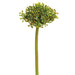 12" Allium Bud Silk Flower Stem -2 Tone Green (pack of 12) - FSA662-GR/TT