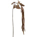 68" Hanging Amaranthus Artificial Flower Stem -Green/Brown (Pack of 12) - FSA679-GR/BR