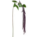 68" Hanging Amaranthus Artificial Flower Stem -Purple (Pack of 12) - FSA679-PU