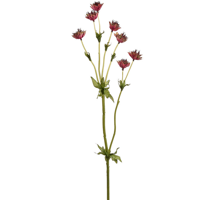 23" Astrantia Masterwort Silk Flower Stem -Burgundy (Pack of 12) - FSA714-BU