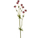 23" Astrantia Masterwort Silk Flower Stem -Burgundy (Pack of 12) - FSA714-BU