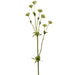 23" Astrantia Masterwort Silk Flower Stem -Green (Pack of 12) - FSA714-GR