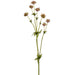 23" Astrantia Masterwort Silk Flower Stem -Mauve/Green (Pack of 12) - FSA714-MV/GR
