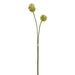 28.5" Allium Silk Flower Stem Bundle -Green/Cream (Pack of 12) - FSA726-GR/CR