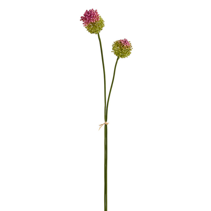 28.5" Allium Silk Flower Stem Bundle -Green/Purple (Pack of 12) - FSA726-GR/PU