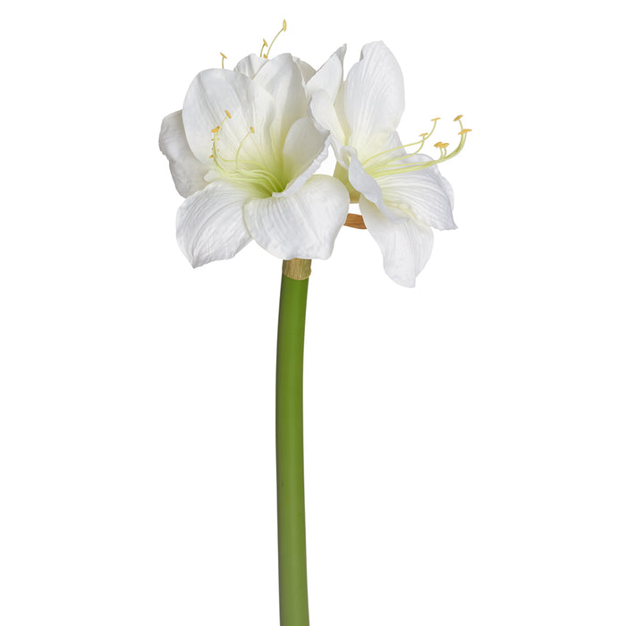 27" Faux Amaryllis Flower Stem -Cream (pack of 6) - FSA750-CR