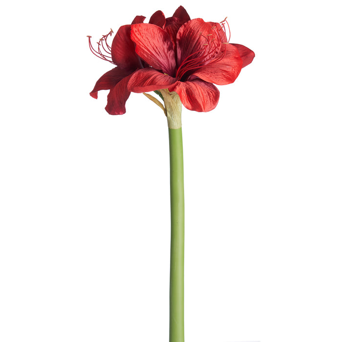 27" Faux Amaryllis Flower Stem -Red (pack of 6) - FSA750-RE