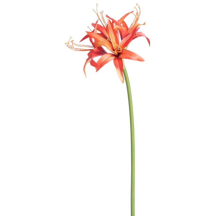 29" Silk Spider Amaryllis Flower Stem -Flame (pack of 12) - FSA753-FL