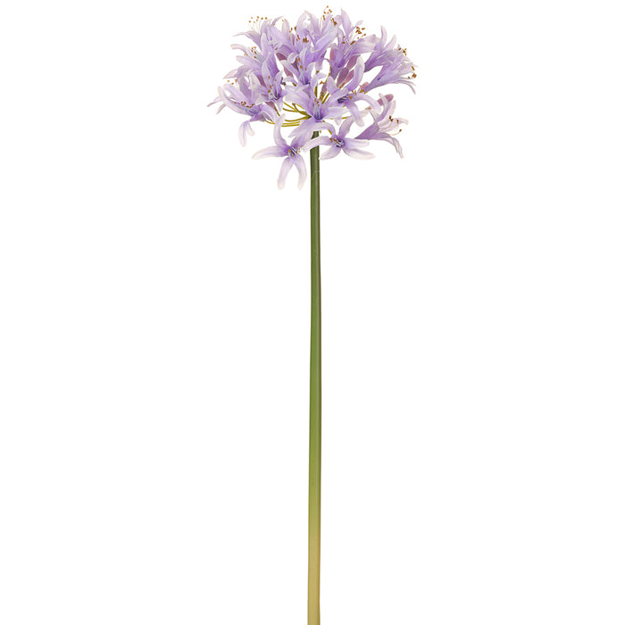 22" Silk Agapanthus Flower Stem -Lavender (pack of 12) - FSA850-LV